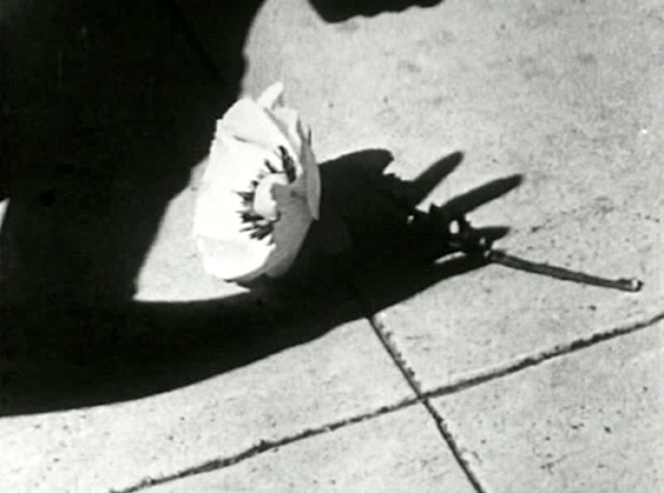 Sinopale 4: Lecture by Dimitrina Sevova; still from Maya Deren, Meshes of the Afternoon